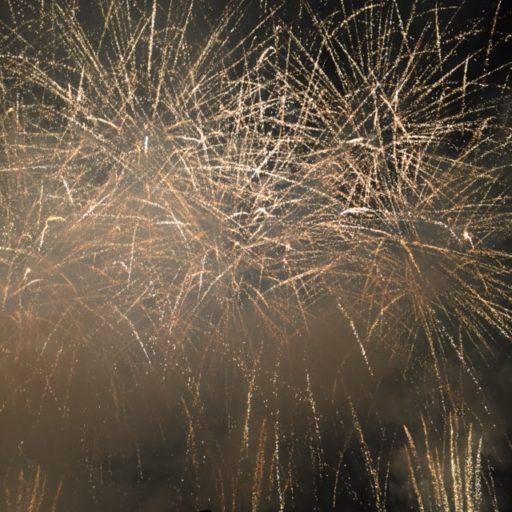 【伊豆の国花火大会】圧巻の45分で8000発の花火！毎年8月1日に行われますよ！