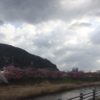 【サーフィン】伊豆下田～入田浜～西風強し（春二番）！！