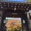 【実相院】秋の京都の穴場紅葉スポット！床もみじが綺麗でした～